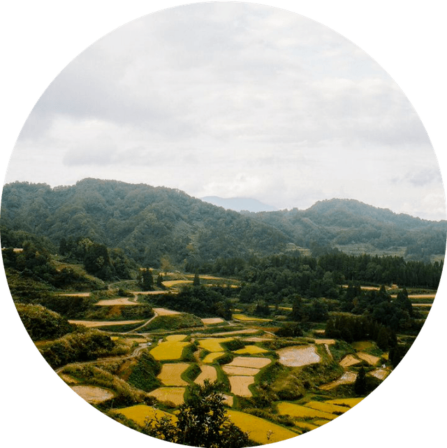 niigata